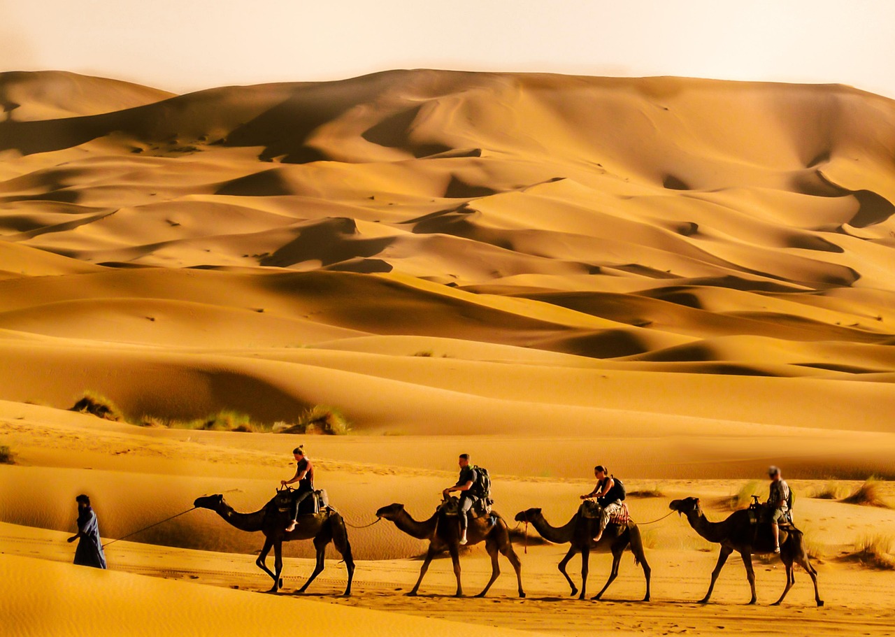 Sahara Desert Adventure private tour