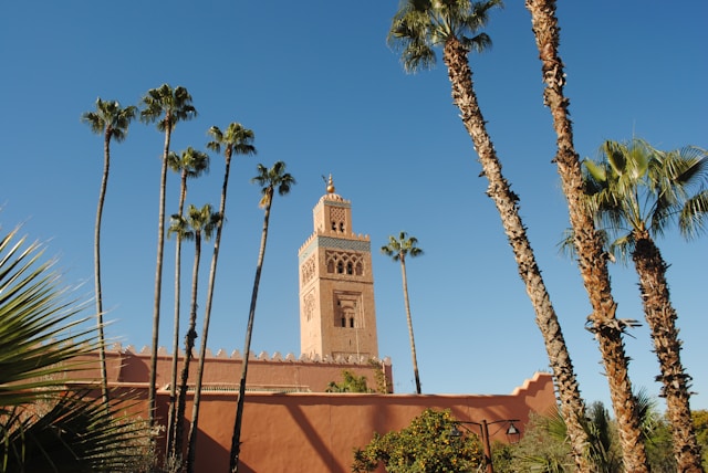 Marrakech & the Coast private tour